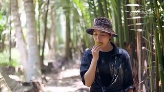 Vietnam food : Grilled Snakehead in bamboo episode 5 - Cá Lóc Nướng Ống Tre - tập 5