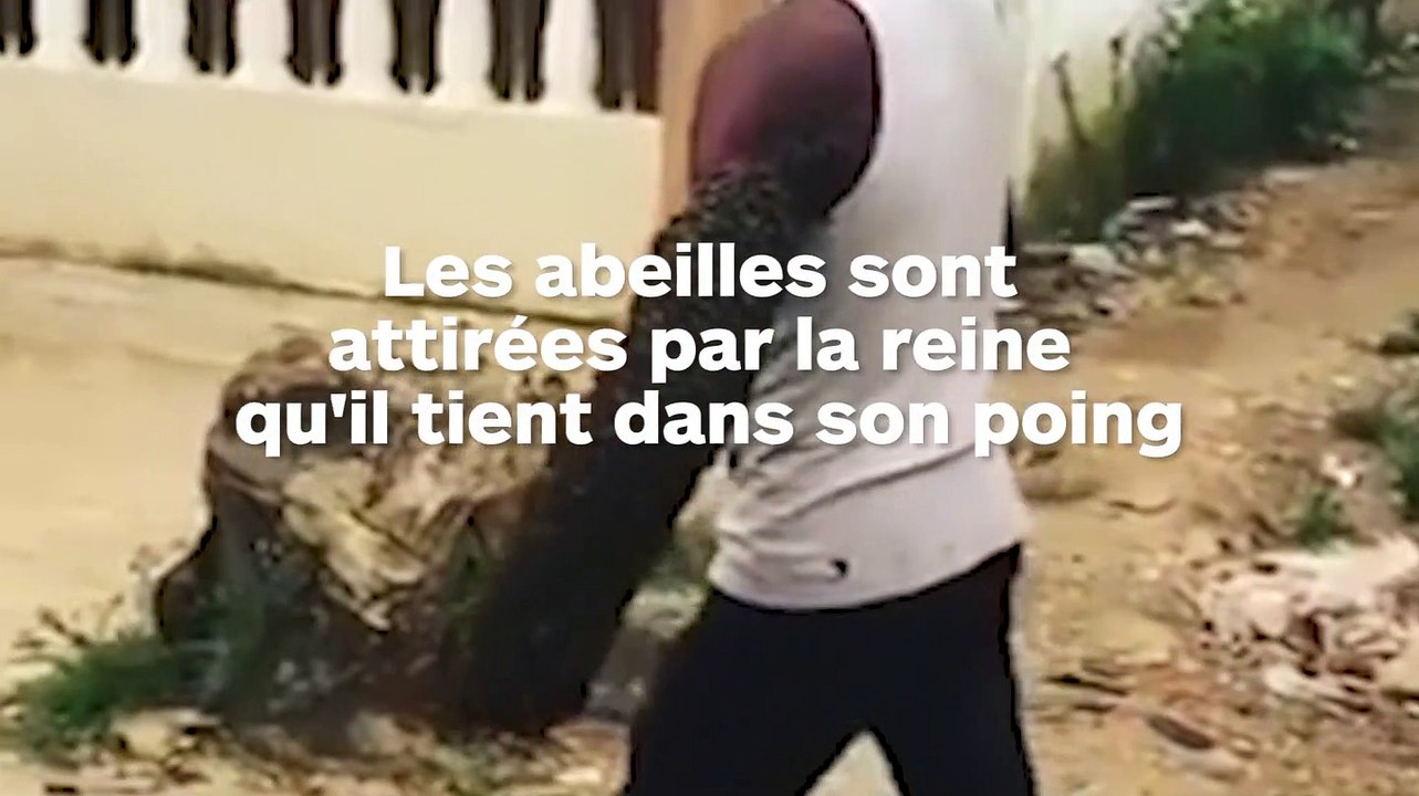 Il se balade dans la rue avec une colonie d'abeilles sur le bras