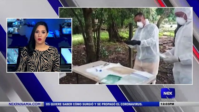 Minsa detecta el primer caso de anta virus en Parita - Nex Noticias