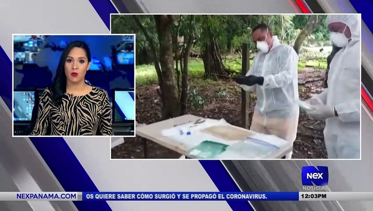 Minsa detecta el primer caso de anta virus en P...