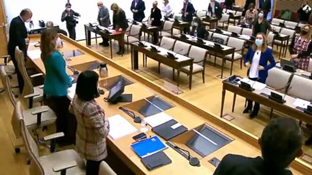 Darias comparece en el Congreso y se muestra optimista frente a la tercera ola