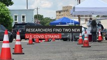 Researchers Find Two New U.S. COVID Strains