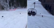 Urso persegue esquiador em descida numa estância de ski na Roménia