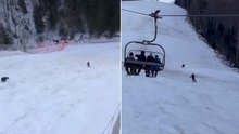 Urso persegue esquiador em descida numa estância de ski na Roménia