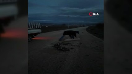 Bir çuval kırık alkol şişesini yolun ortasına boşalttılar