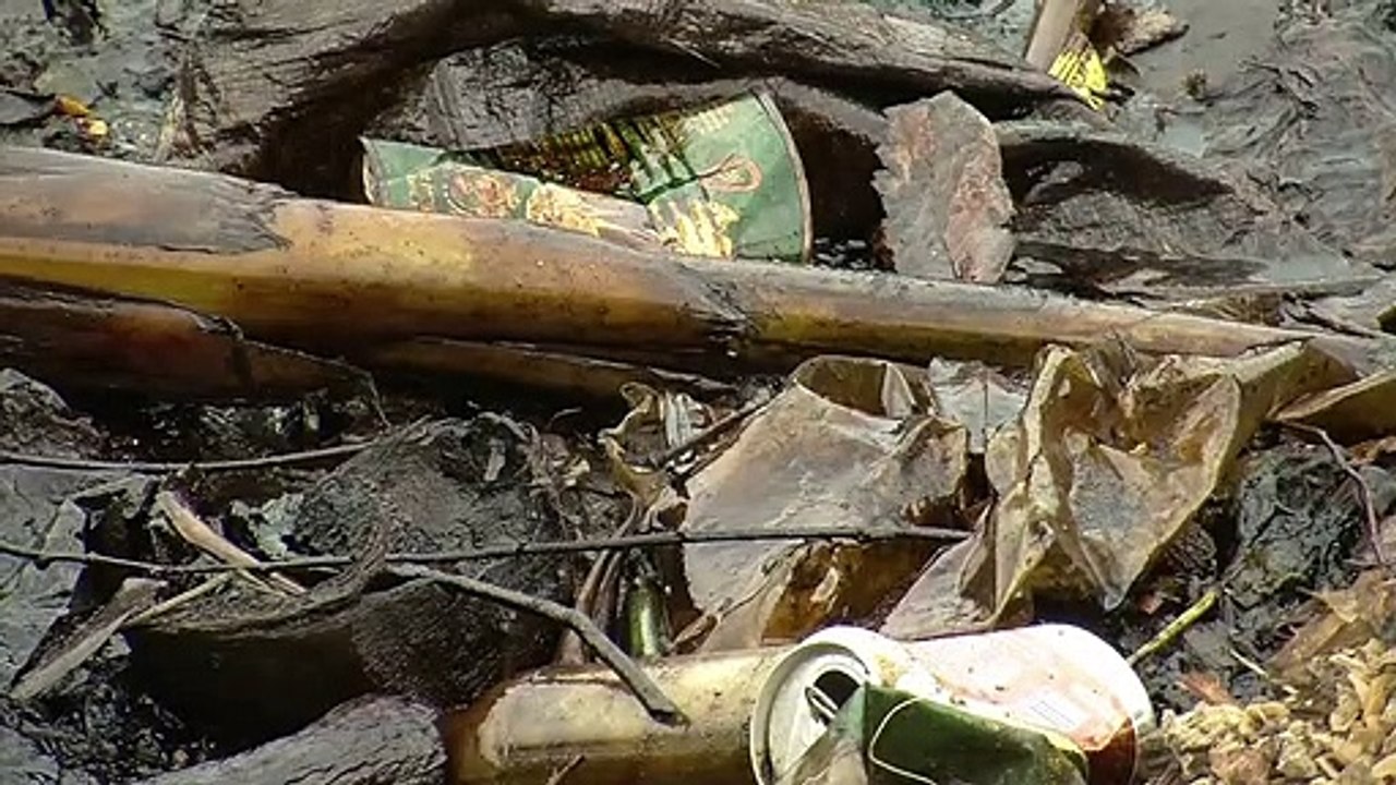 Ölpest: Shell muss Bauern in Nigeria Schadenersatz zahlen