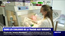 Covid-19: comment fonctionne la traque des variants en laboratoire?