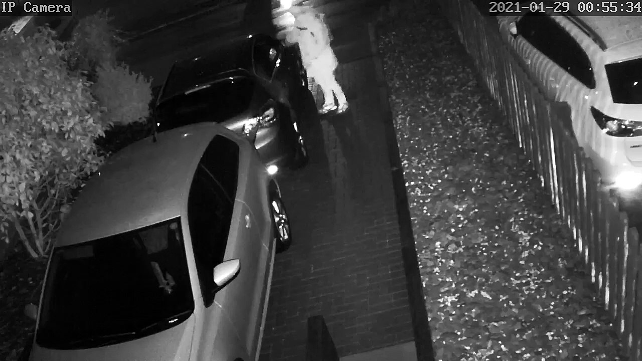 Attempted burglary in Harpole