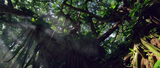 Clean Bandit - Higher (feat. iann dior) [Official Video]