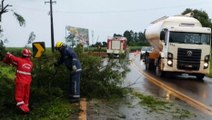 Bombeiros retiram galhos de árvores espalhados na rodovia PR-180, no acesso com a BR-277