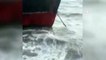 Marmara denizinde etkili olan şiddetli fırtına nedeniyle Zeytinburnu açıklarında bir kargo gemisi karaya oturdu.