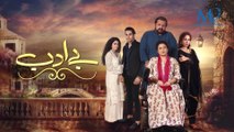 Be Adab Episode 11 HUM TV Drama 29 January 2021