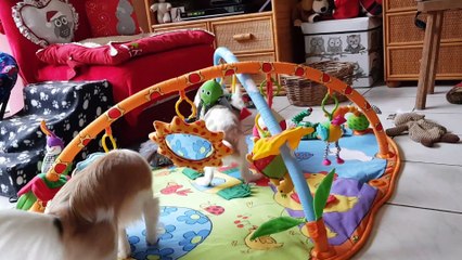 Jeux des petits suite