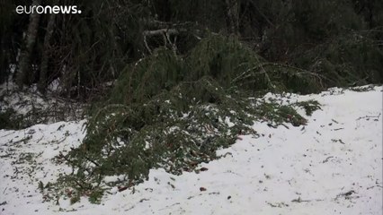 Lavina tarolt le egy hegyoldalt Svájcban