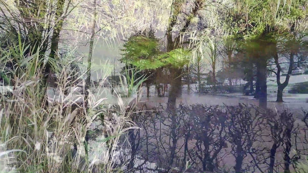 Das Biotop reloaded........oder:  Die nassen Konsequenzen einer Fehlentscheidung