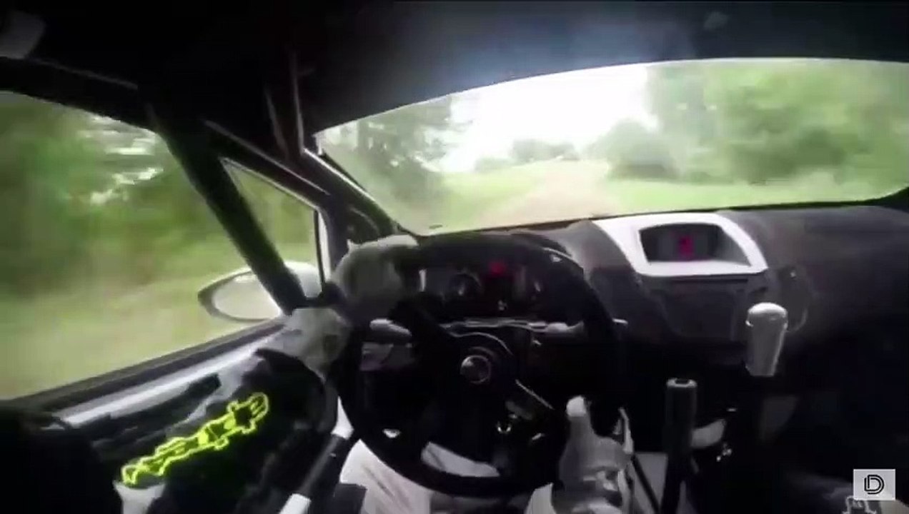 Vivez une course de rallye depuis l'intérieur de la voiture... Impressionnant