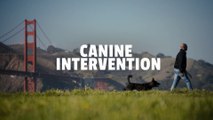 Canine Intervention | Official Trailer | Netflix - Z videos