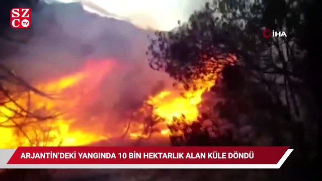 Arjantin’deki yangında 10 bin hektar ormanlık alan küle döndü