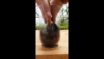 Tuto terrarium #3