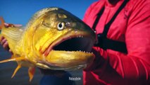 Pesca en el minuto 90 - FISH FINDER