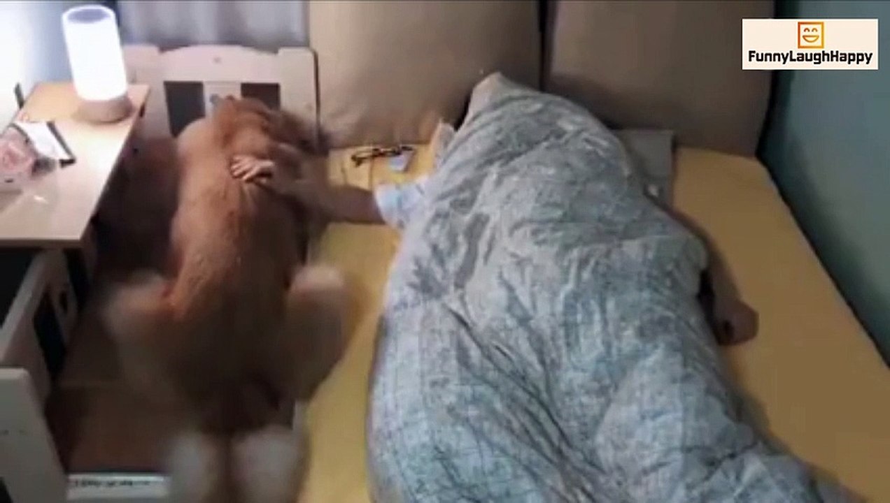 The dog only wants to sleep beside him closely