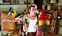 Ace Ventura Pet Detective Movie (1994) - Jim Carrey, Courteney Cox, Sean Young