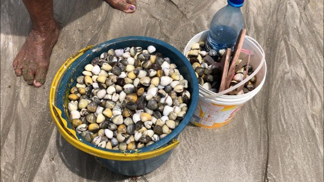 MARISQUEIROS NA PRAIA DE ACAÚ EM PITIMBU