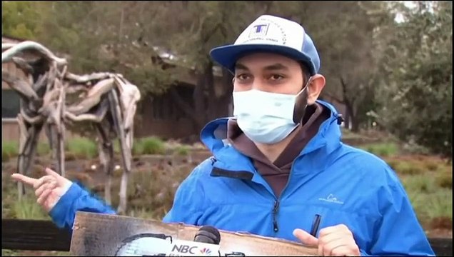 Financial regulators issue warnings over GameStop bubble