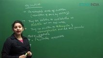 Biological Clasification by sb mam_2 Biological classification sb mam part 11