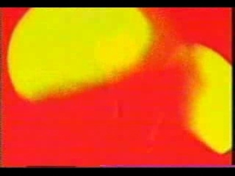 The Doors - The End Live At The Isle Of Wight Festival 1970