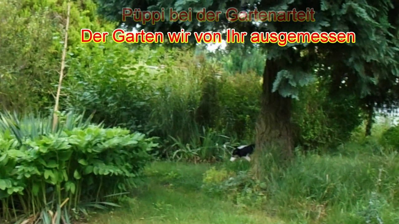 Püppi Garten