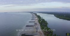 Pithrody Udyavar Beach in aerial view _ Beach between sea and river in Udupi, Karnataka