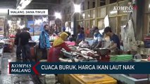 Cuaca Buruk, Harga Ikan Laut Naik