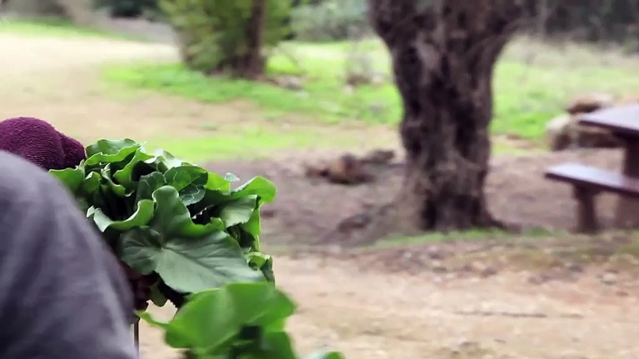 EMWAS.. Restoring Memories Documentary Film . The film follows the journey of director Dima Abu Ghosh as she rebuilds her demolished hometown. Emmaus in the form of a maket (model).