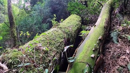 Mountain (Funayama) where traditional ceremonies of Japan (Kyoto) are held