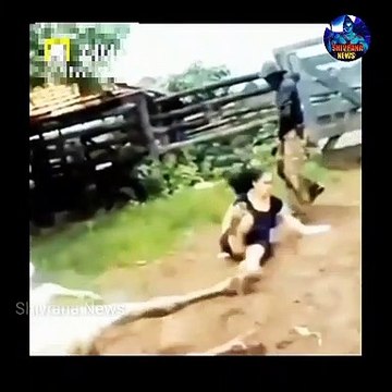 फिल्म लीक होने पर भड़के खेसारी। बोले सुधर जाओ वरना जेल में चक्की पीसते नज़र आओगे।Khesari Live video