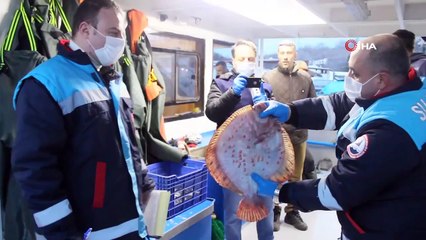 İğneada’da Balıkçılar Limana Boş Kasalar İle Dönüyor