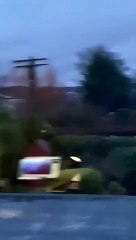 Edinburgh murmurations