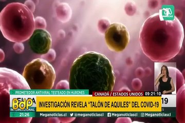 Investigación revela el punto débil del COVID-19