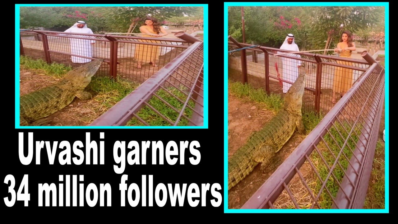 Urvashi Rautela gets 34 million followers, shares fun video| Urvashi garners 34 million followers