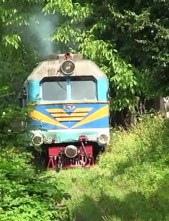 train in forest