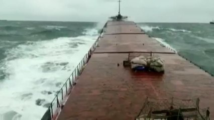 Una impresionante ola partió el buque carguero que se hundió en el Mar Negro