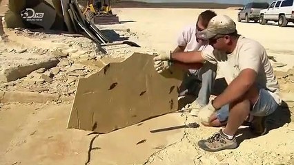 How Its Made - 943 Fossils