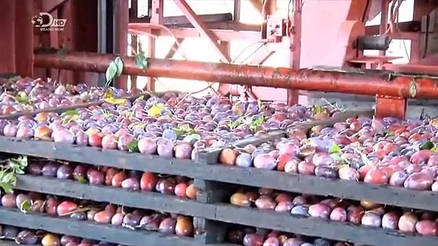 How Its Made - 945 Pitted Prunes