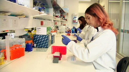 Enrolment numbers in engineering courses drops in Victoria