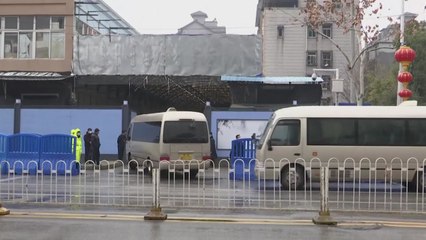 WHO 전문가팀, 화난 수산시장 방문...中, '조사 아닌 연구' 선긋기 / YTN