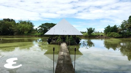 11 Things We Love in and Around Bacolod