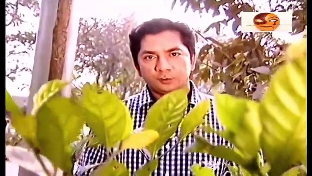 Crime Fiction ~ Bangla Crime Program May 2020