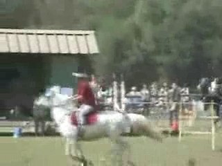 Karine  et joel à Lamotte-Beuvron au 5 drapeaux