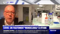 Anticorps monoclonaux contre le Covid-19: selon le Pr Rabaud, ce traitement est 